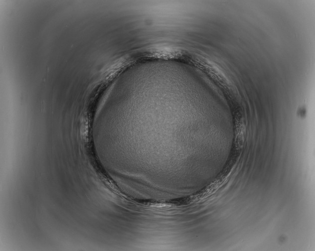 X0000098180268200805081031