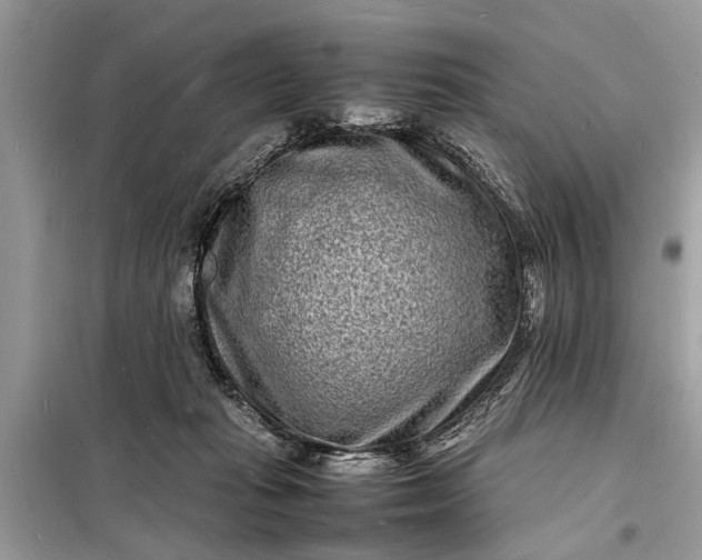 X0000098180269200805081031