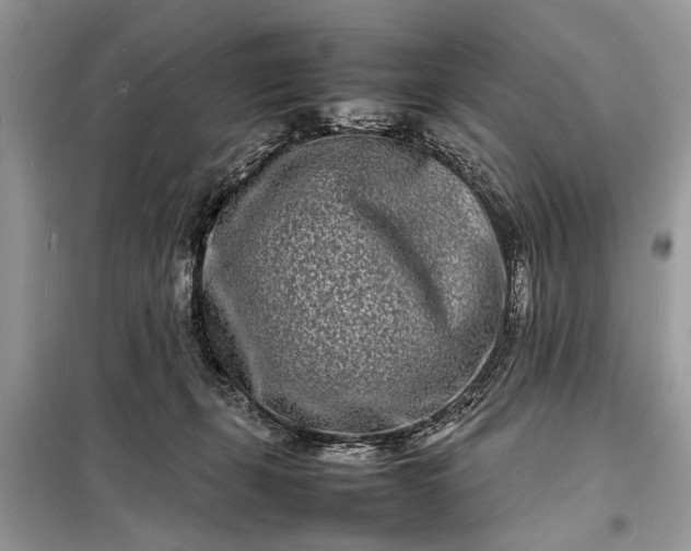 X0000098180271200805081031