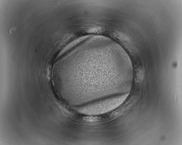 X0000098180273200805081031