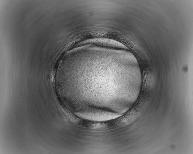 X0000098180274200805081031