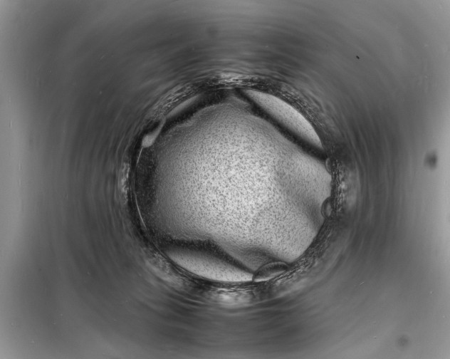 X0000098180275200805081031