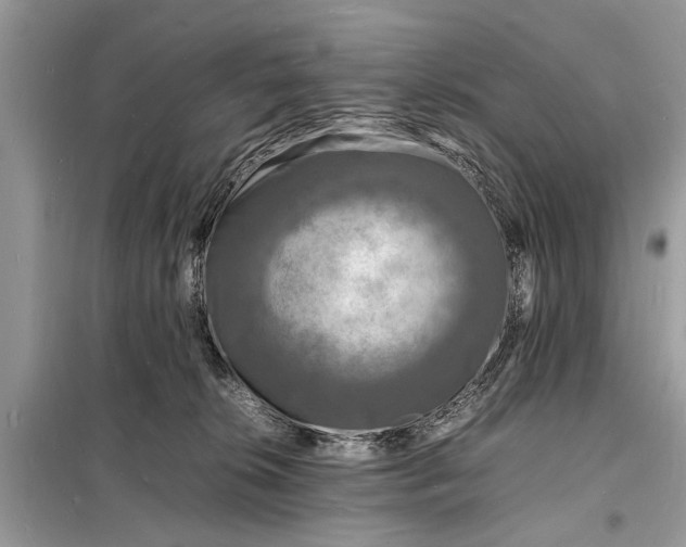 X0000098180276200805081031