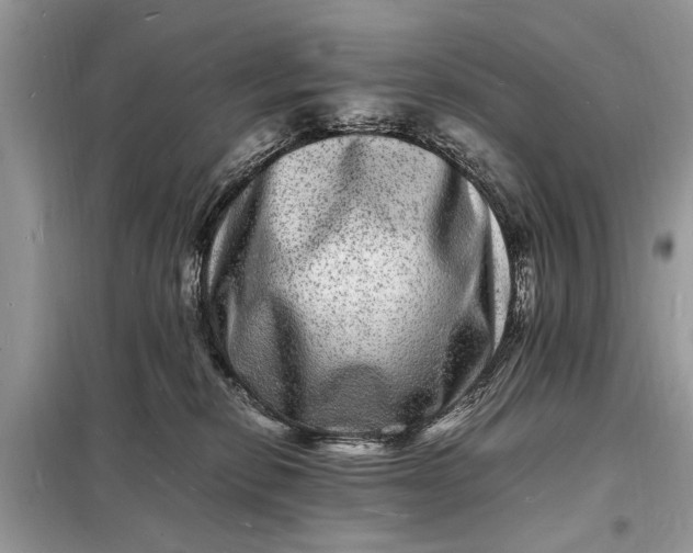 X0000098180278200805081031