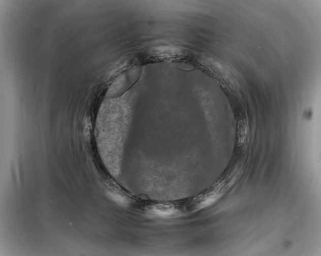 X0000098180279200805081031