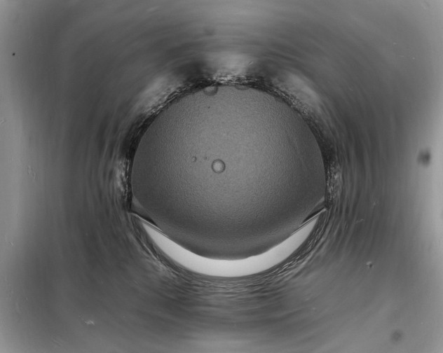 X0000098180280200805081031