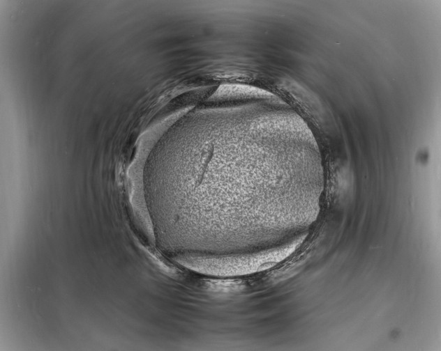 X0000098180281200805081031