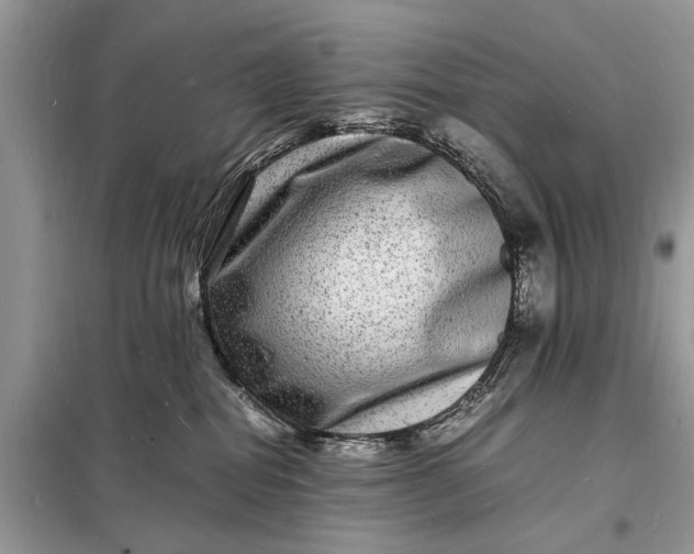 X0000098180282200805081031