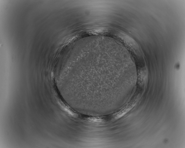 X0000098180284200805081031