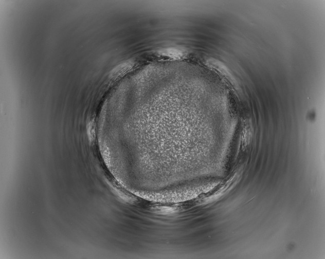 X0000098180285200805081031