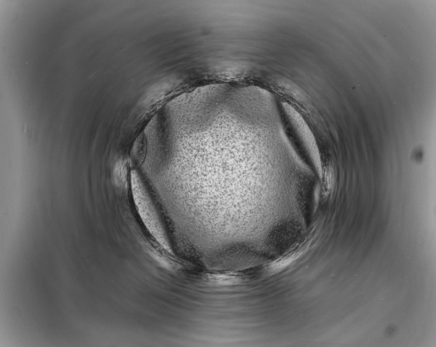 X0000098180286200805081031