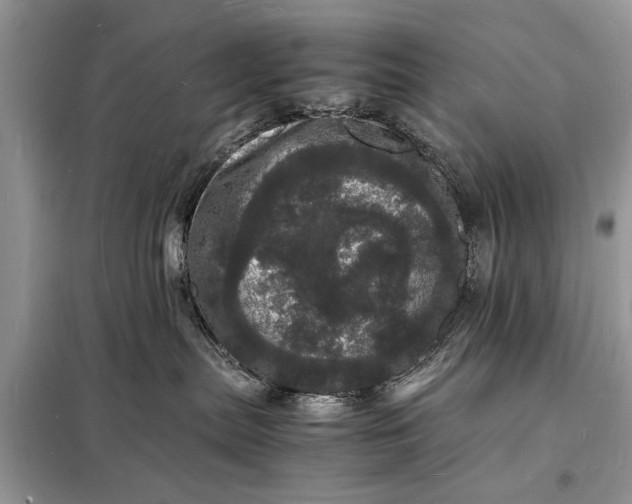 X0000098180287200805081031