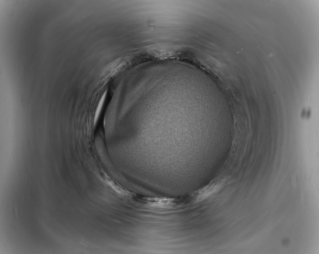 X0000098180288200805081031