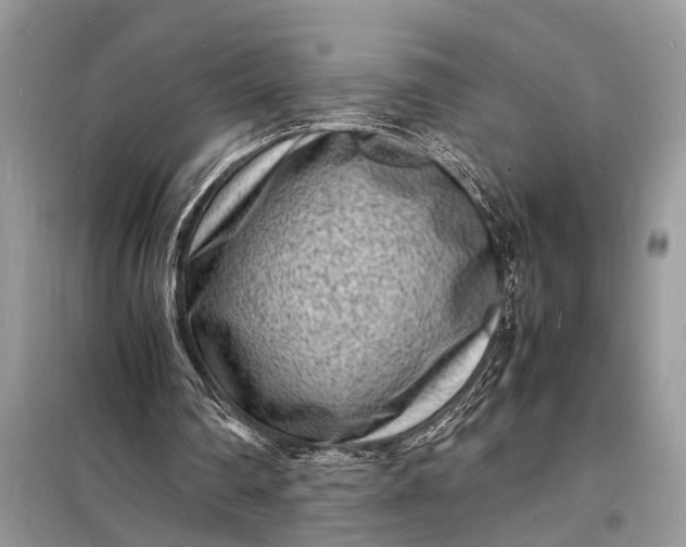 X0000098180290200805081030