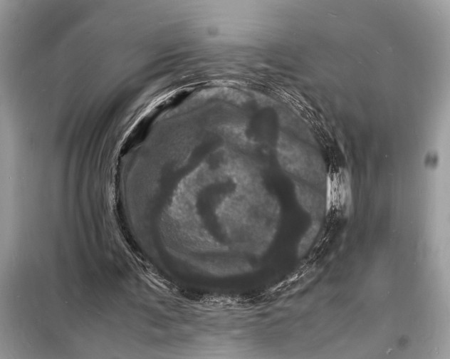 X0000098180291200805081030