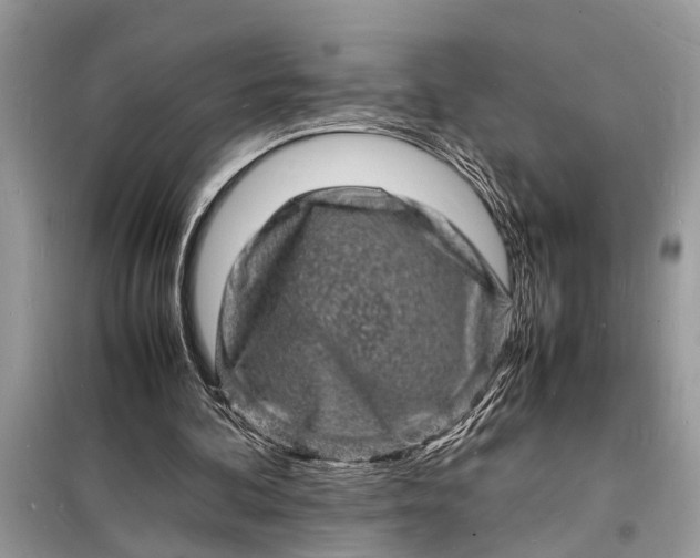 X0000098180292200805081030