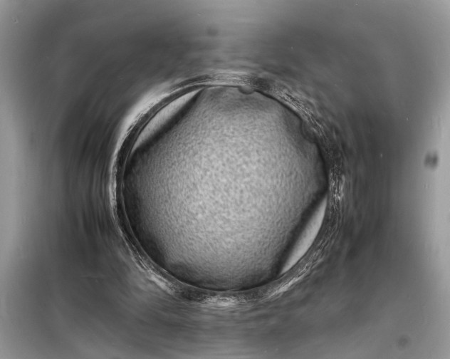 X0000098180294200805081030