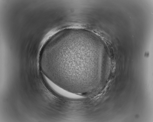 X0000098180296200805081030