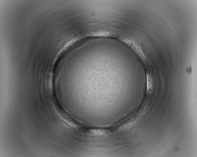 X0000098180300200805081030