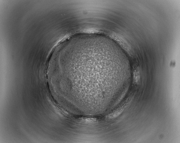 X0000098180304200805081030