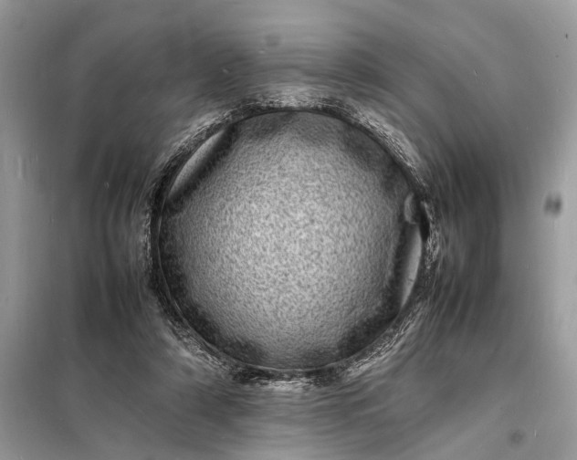 X0000098180306200805081030