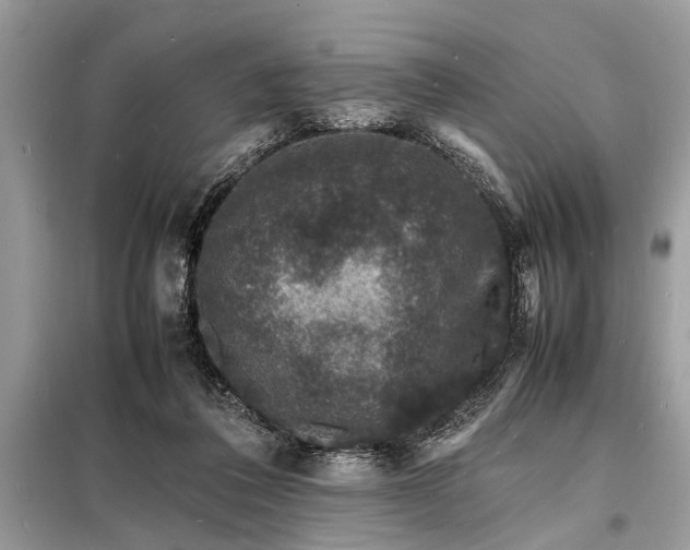 X0000098180308200805081030