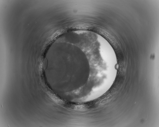 X0000098180309200805081030