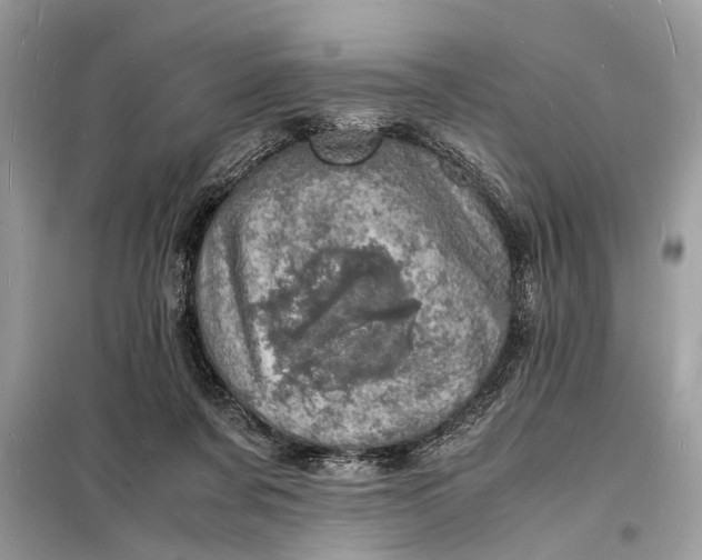 X0000098180311200805081030