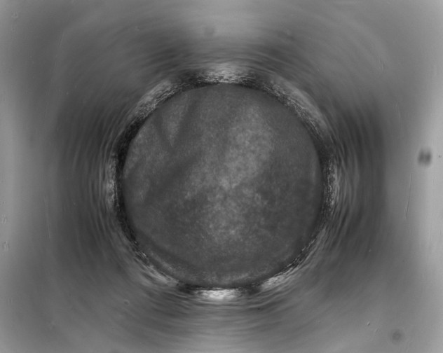 X0000098180312200805081030