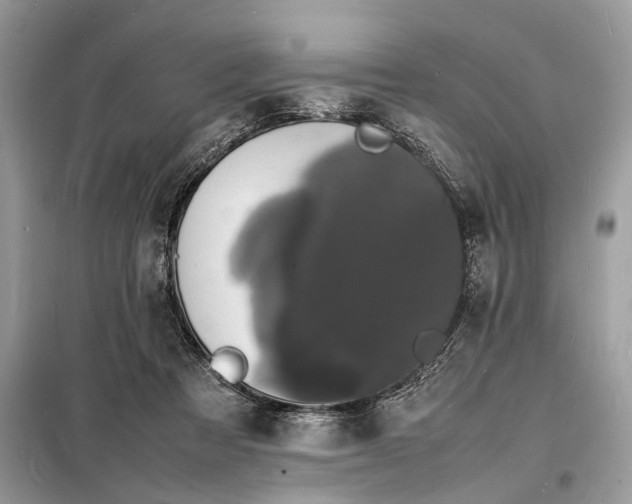 X0000098180313200805081030