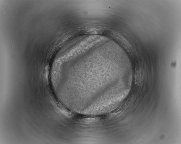 X0000098180314200805081030