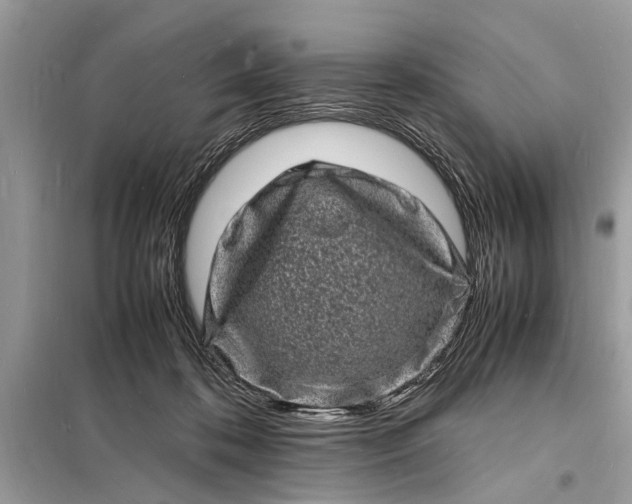 X0000098180316200805081030