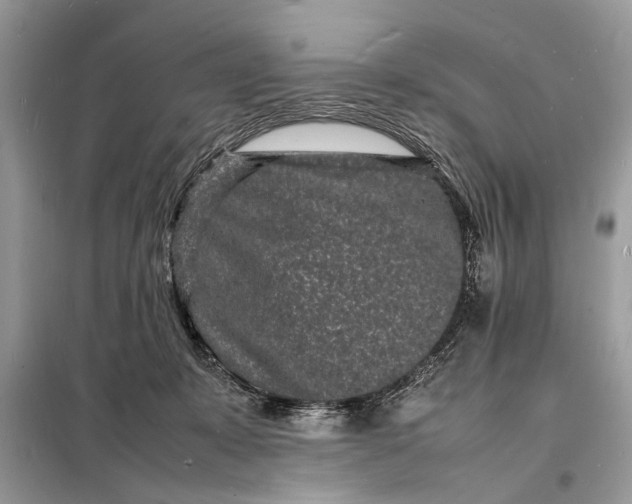 X0000098180319200805081030