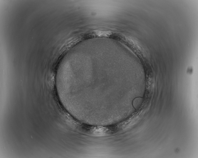 X0000098180321200805081030