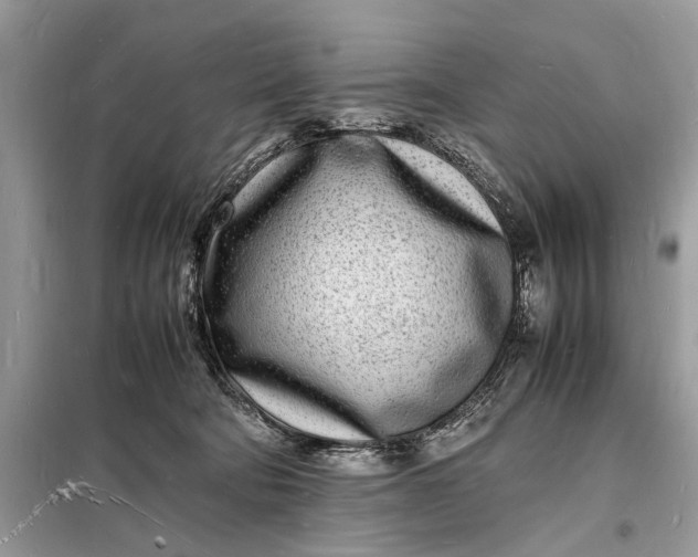 X0000098180322200805081030