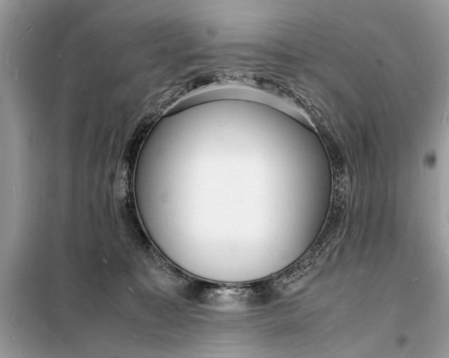 X0000098180323200805081030