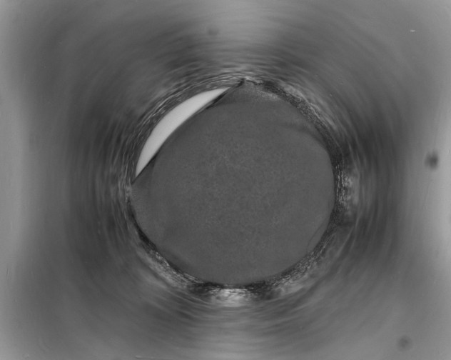 X0000098180324200805081030