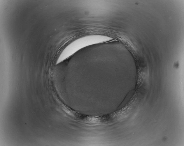 X0000098180325200805081030