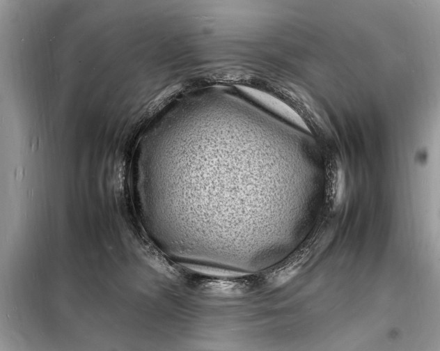 X0000098180326200805081030