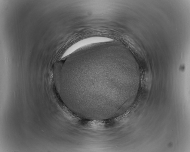 X0000098180327200805081030