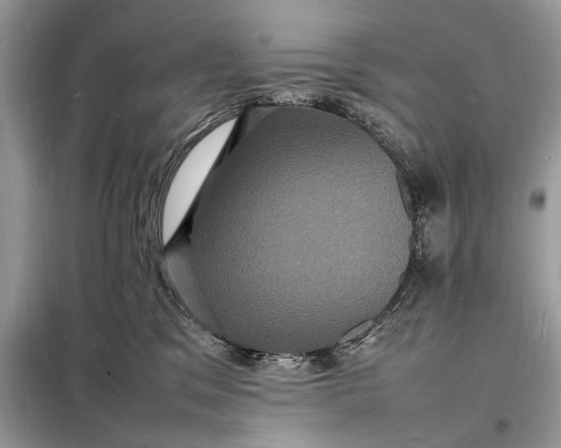 X0000098180329200805081030