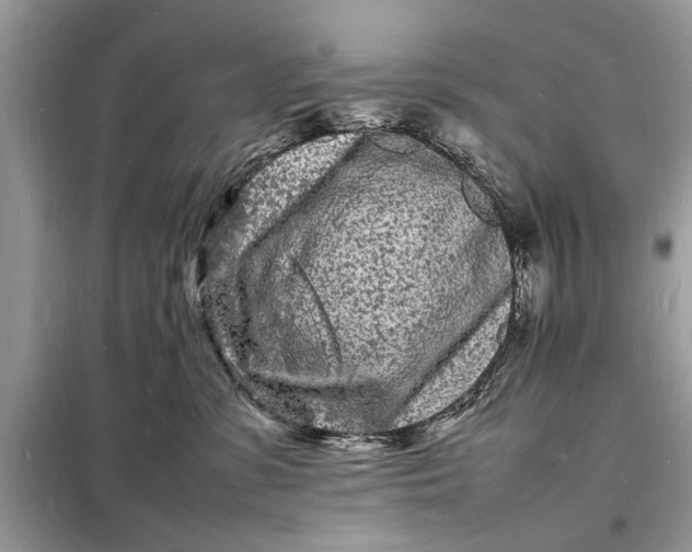 X0000098180331200805081030