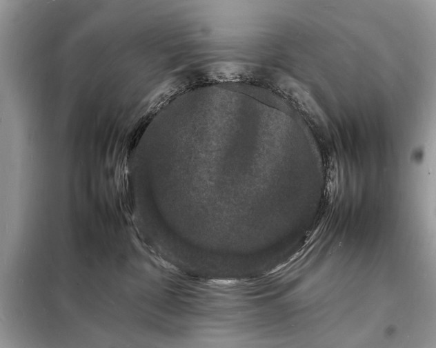 X0000098180332200805081030