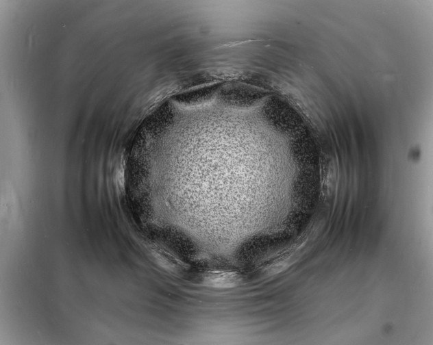 X0000098180334200805081030