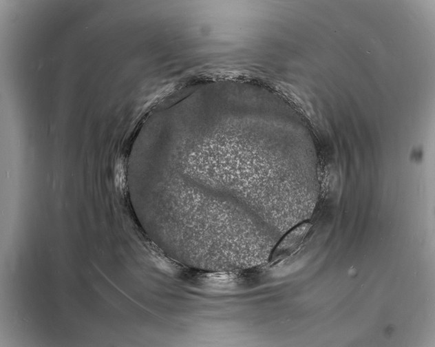 X0000098180335200805081030