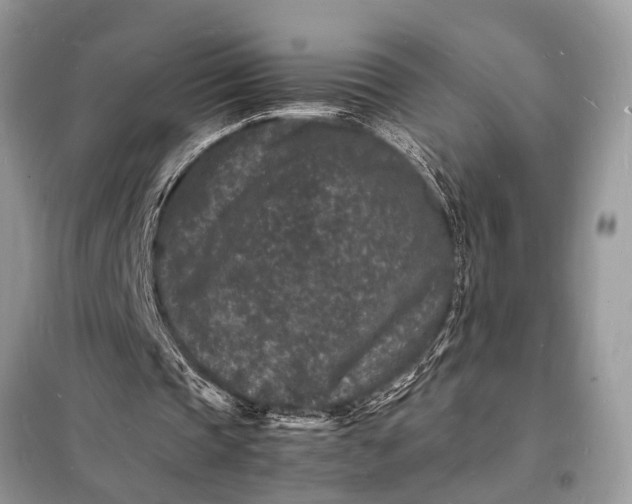 X0000098180337200805081029