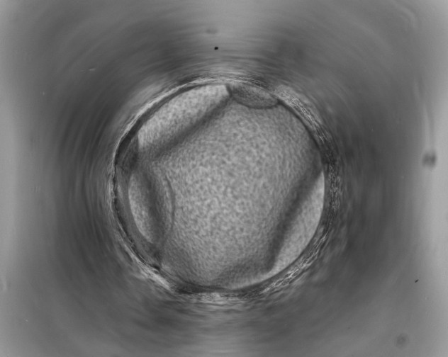 X0000098180338200805081029