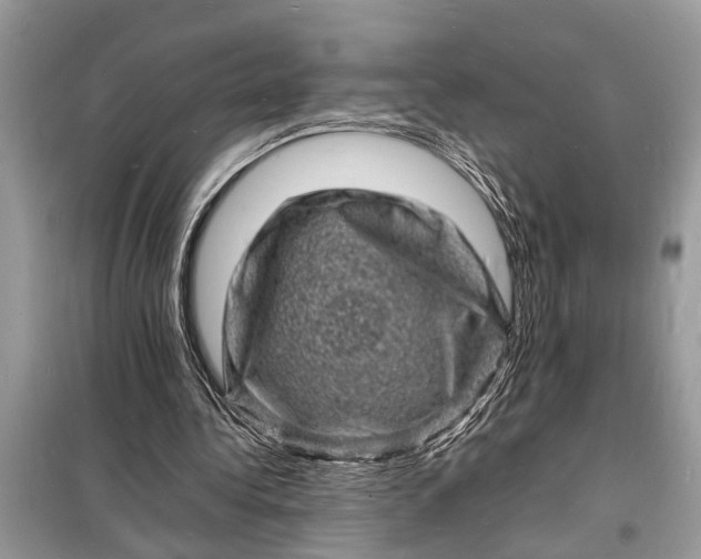 X0000098180340200805081029