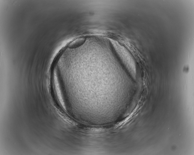 X0000098180342200805081029