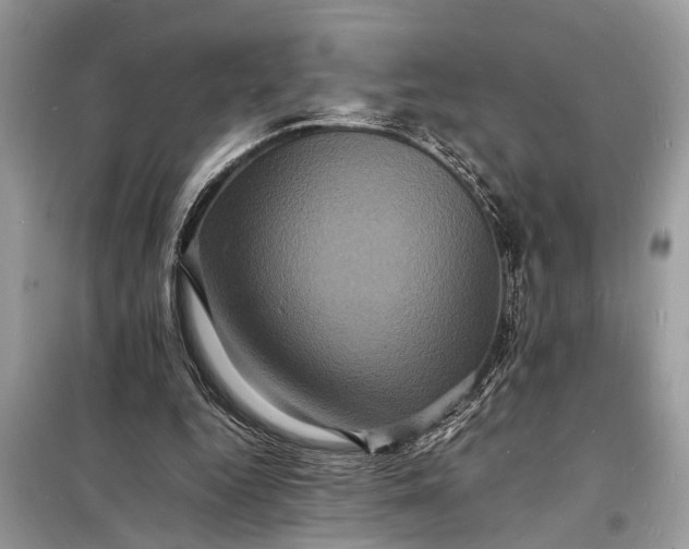 X0000098180344200805081029